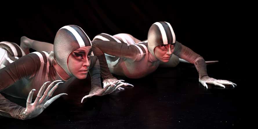 Desert Grassland Whiptail Lizards: Act 1