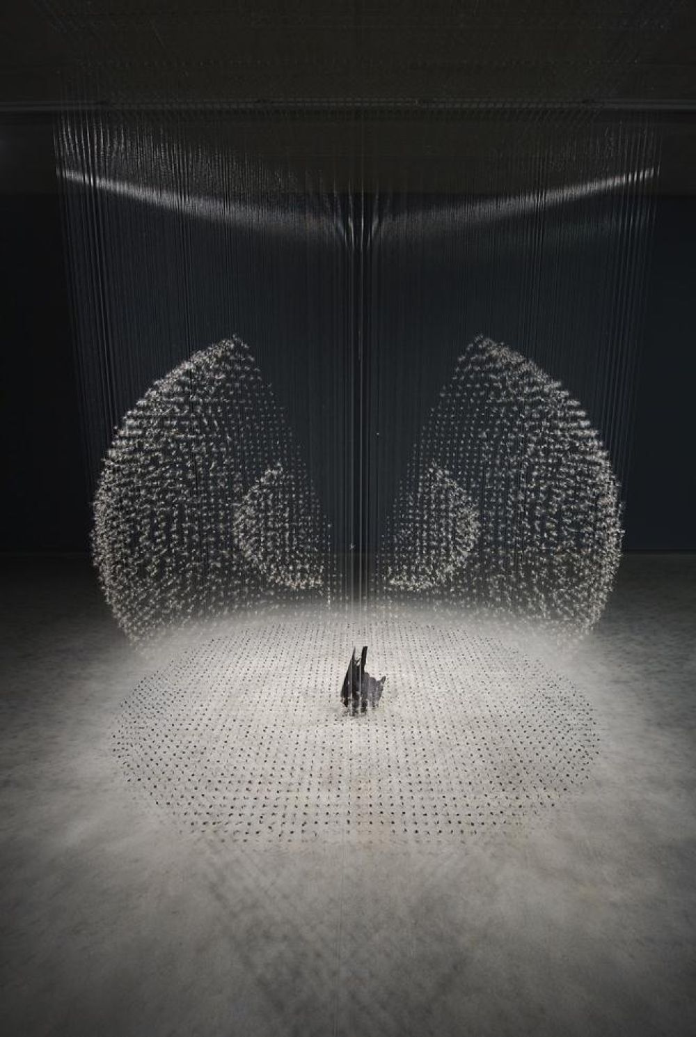 Claire Morgan Gone to Seed portrait