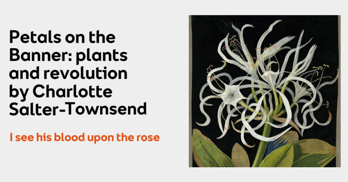 Petals on the Banner plants and revolution The MAC Belfast