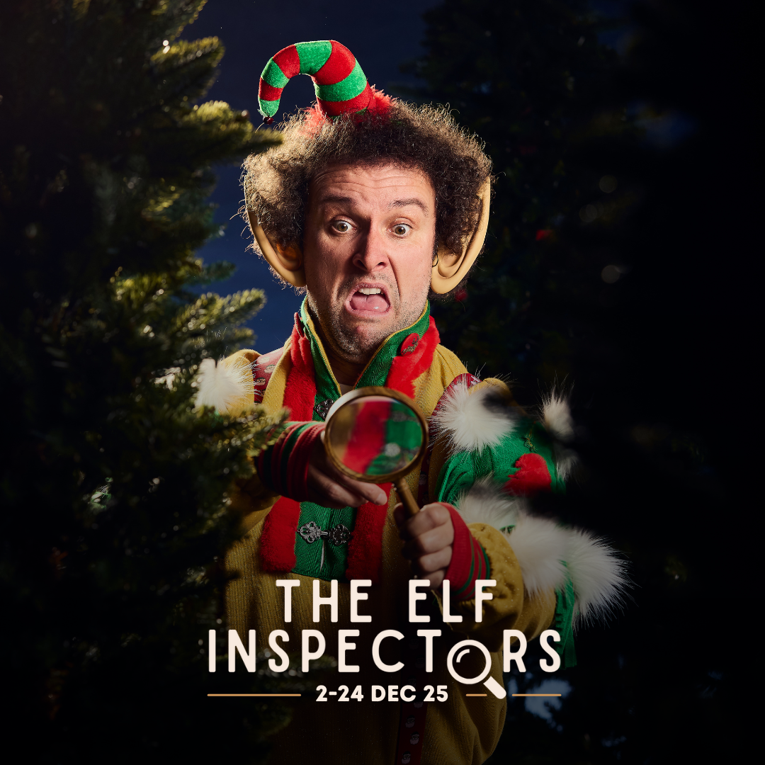 The Elf Inspectors